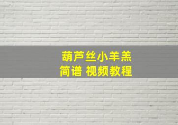 葫芦丝小羊羔简谱 视频教程